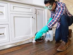 Best Real Estate Pest Inspections  in Stroville, CA